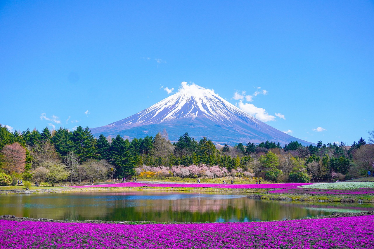 Mount Fuji above spring flowers, a classic view on a 14 day Japan itinerary